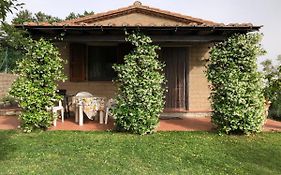 Monolocale La Mimosa