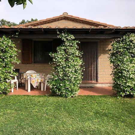 Affittacamere Monolocale La Mimosa Elmo Esterno foto
